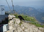 Aggenstein (1986 m) und Breitenberg (1838 m) - Image 21