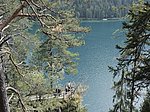 Alpsee-Rundweg - Image 4