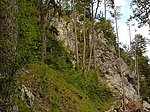 Alpenrosenweg-Rundwanderung - Image 18