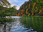Alatsee - Image 2