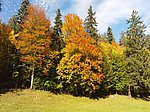 Alatsee-Runde - Image 4