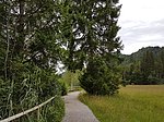 Alpenrosenweg-Rundwanderung - Image 12
