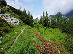 Allgäuer Königsalpenroute - Etappe 8: Kenzenhütte-Tegelberghaus Schwangau - Image 5