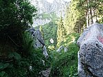 Aggenstein (1986 m) und Breitenberg (1838 m) - Image 11