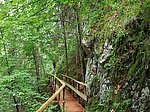 Alpenrosenweg-Rundwanderung - Image 5