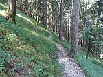 Aggenstein (1986 m) und Breitenberg (1838 m) - Image 30