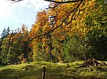 Alatsee-Runde - Image 5